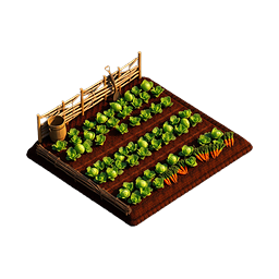 Un potager en récolte