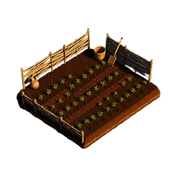 Un potager semé